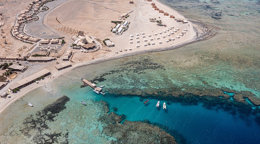 Marsa Alam Travel Guide 2026: Dolphins, Dugongs & Pristine Reefs
