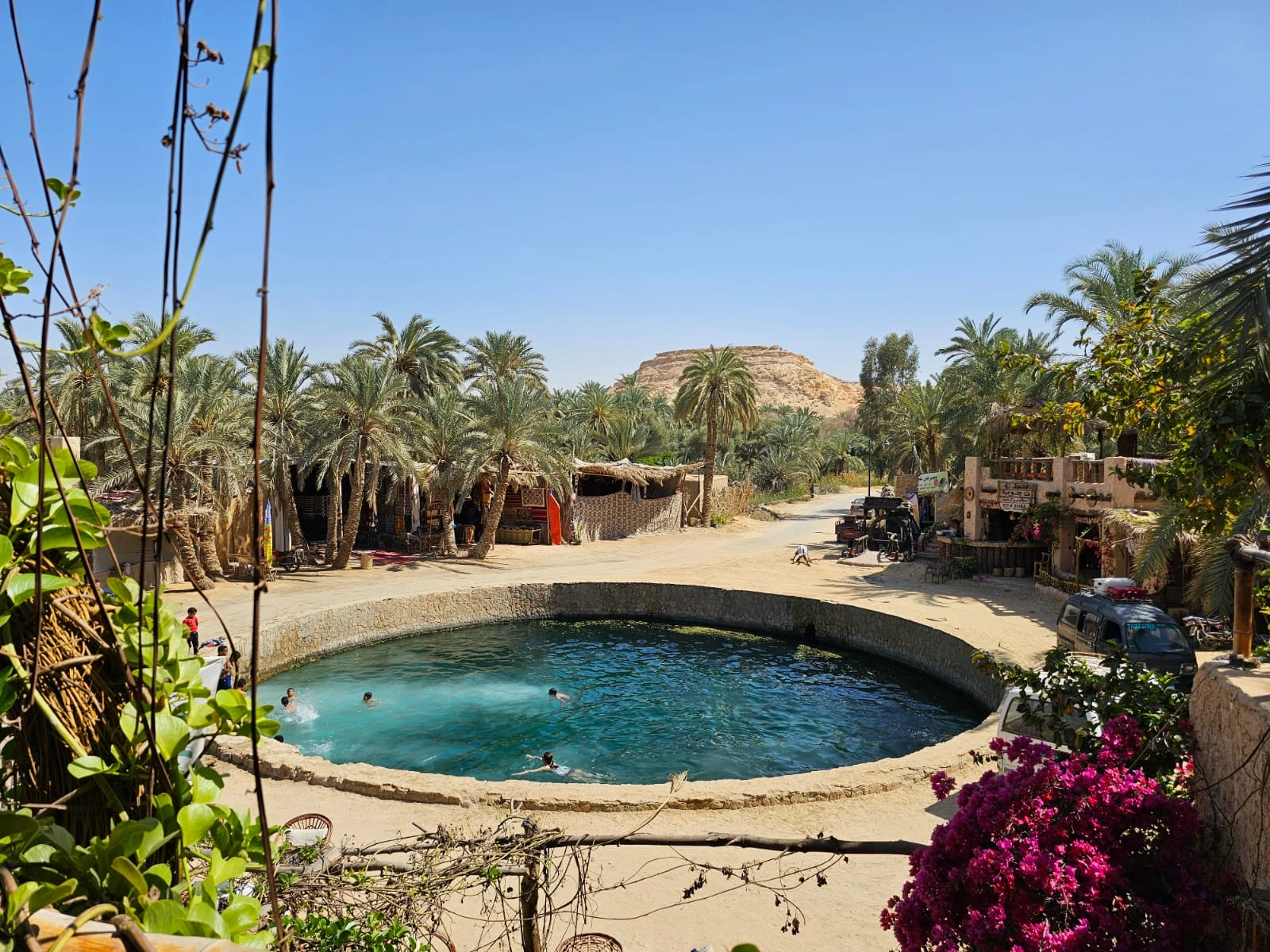 Private Expedition: The Wonders of Siwa Oasis