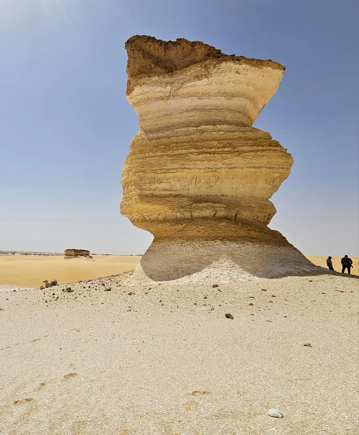 Private Expedition: The Wonders of Siwa Oasis