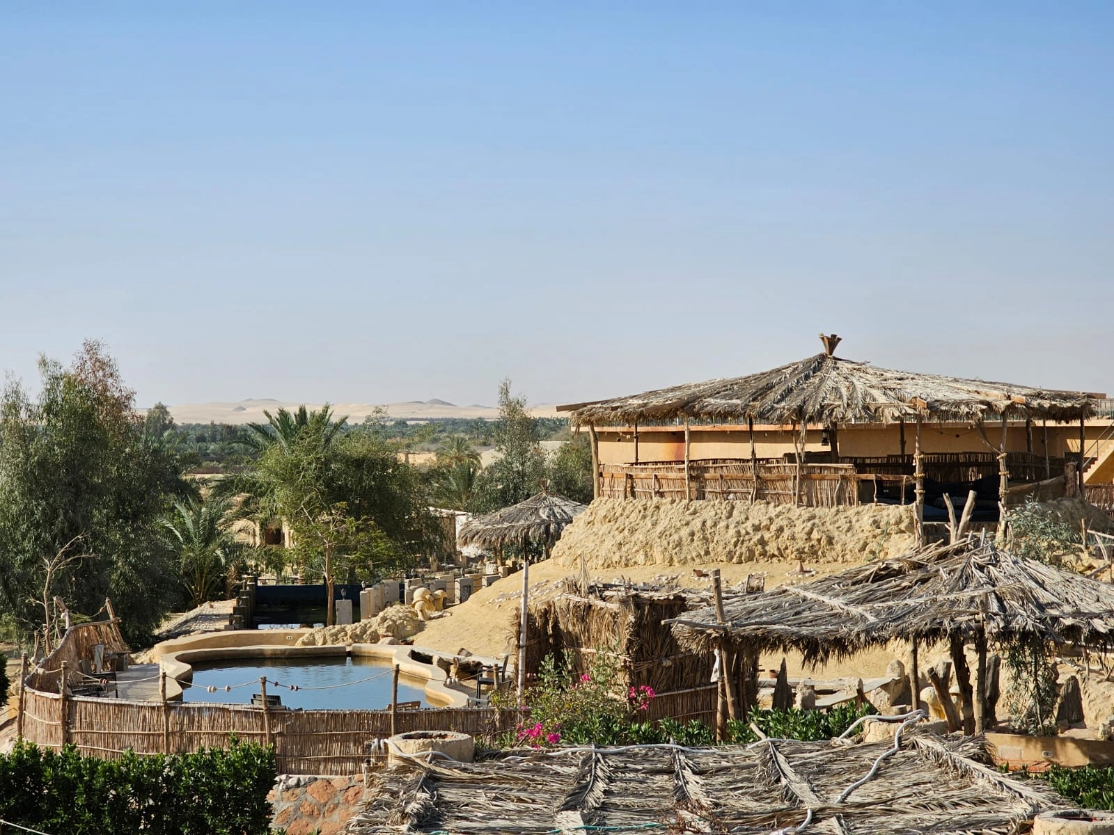 Private Expedition: The Wonders of Siwa Oasis