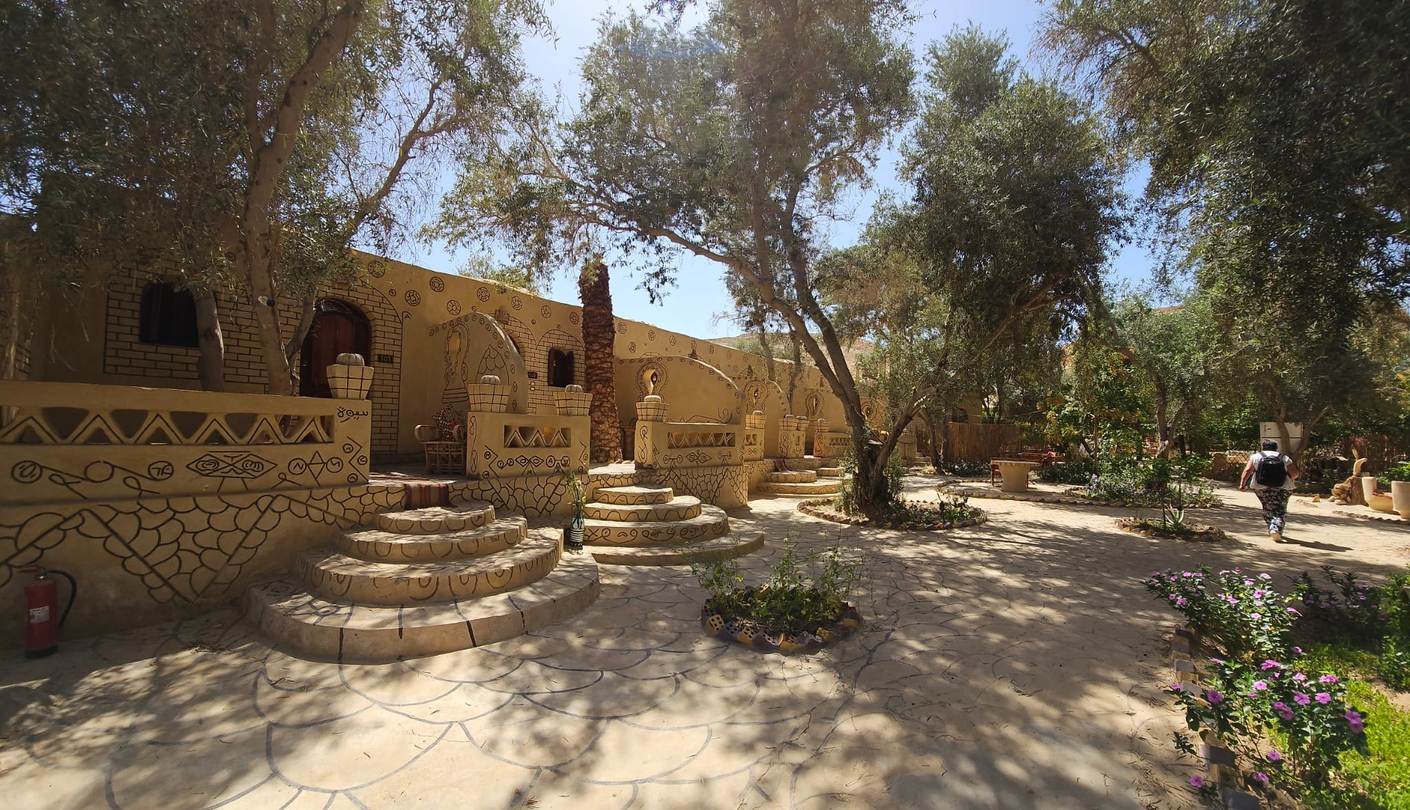 Private Expedition: The Wonders of Siwa Oasis