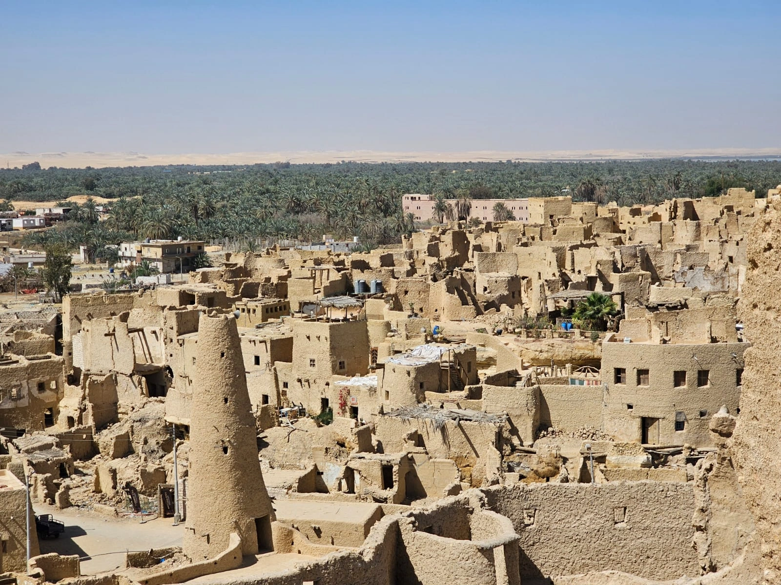 Private Expedition: The Wonders of Siwa Oasis